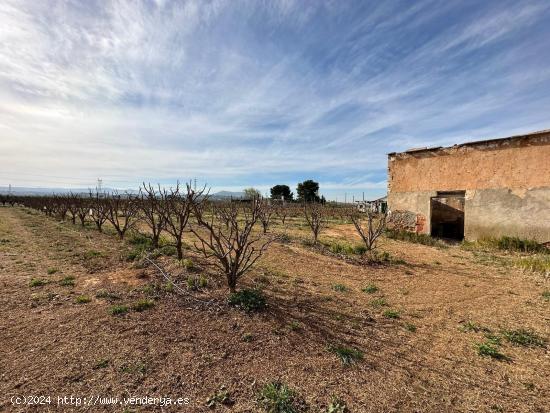 Caseta rural a pocos metros de la población de Benimodo - VALENCIA