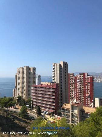 Se Vende en Benidorm - ALICANTE