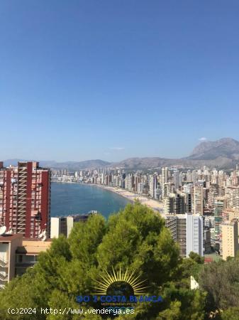 Se Vende en Benidorm - ALICANTE