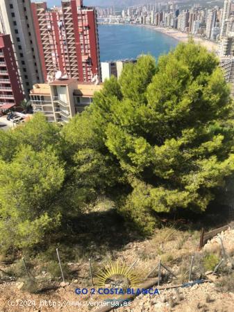 Se Vende en Benidorm - ALICANTE