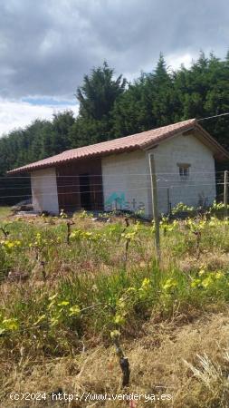 Se vende finca con explotación ganadera en Bárcena de Cicero - CANTABRIA