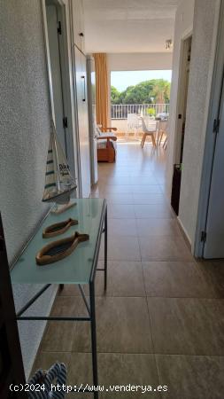 Fantástico apartamento con terraza en Urbanización Pinomar, Guardamar del Segura - ALICANTE