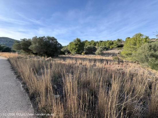 En venta terreno rústico en la Solana de Benisa con posibilidad de construir vivienda. - ALICANTE