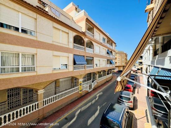 Se vende loft en la mata - ALICANTE