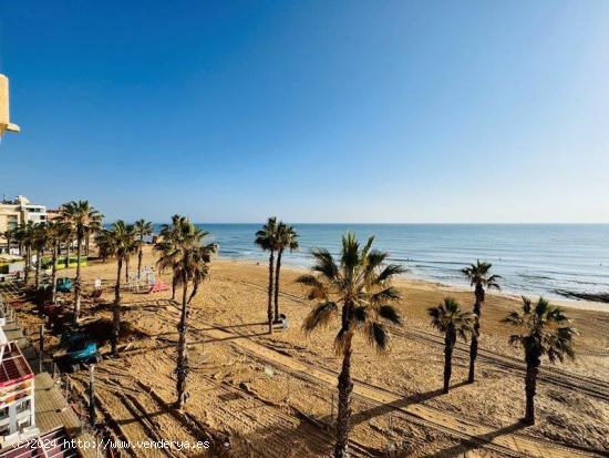 Se vende piso en la mata primera línea de playa - ALICANTE