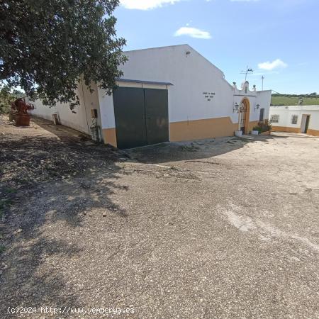 FINCA DE OLIVAR CON MOLINO ACEITERO TRADICIONAL EN ARCOS  - CADIZ