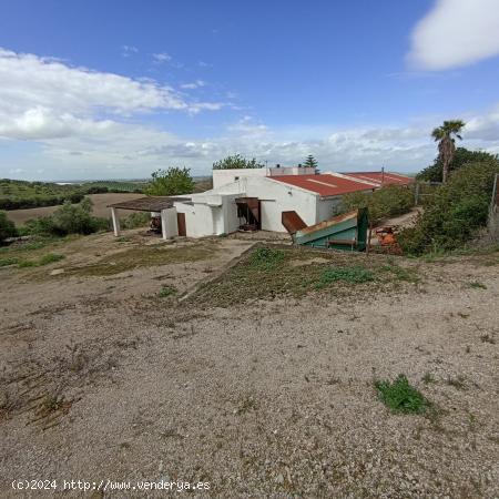 FINCA DE OLIVAR CON MOLINO ACEITERO TRADICIONAL EN ARCOS  - CADIZ