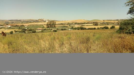 El Fain, Monarda y Hoyos del Boyero - CADIZ