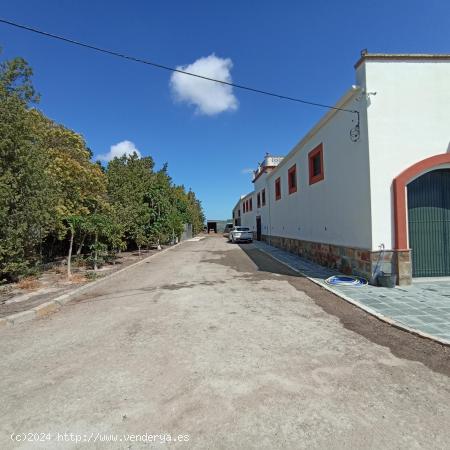 FINCA CORTIJO CON FÁCIL ACCESO DESDE AUTOVÍA JEREZ EN SANLÚCAR - CADIZ