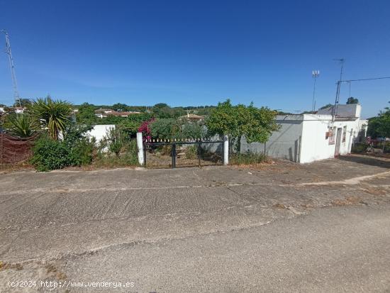 PARCELA EN PEDANÍA DE ARCOS CON CASA A REFORMAR  - CADIZ