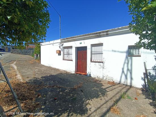 PARCELA EN PEDANÍA DE ARCOS CON CASA A REFORMAR  - CADIZ