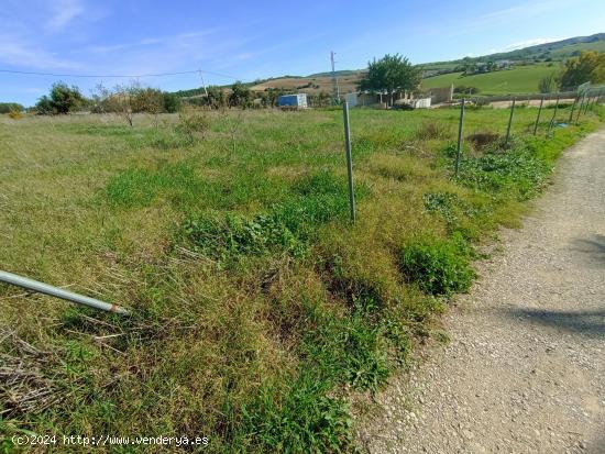 PARCELA RÚSTICA EN ZONA RURAL ARCOS - CADIZ