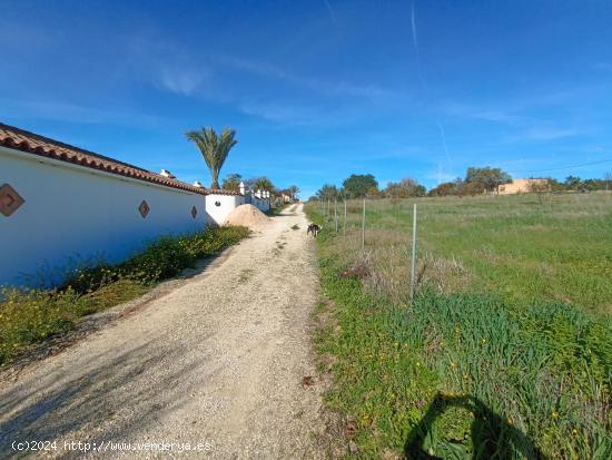 PARCELA RÚSTICA EN ZONA RURAL ARCOS - CADIZ