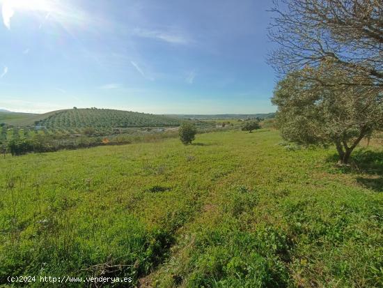 PARCELA RÚSTICA EN ZONA RURAL ARCOS - CADIZ