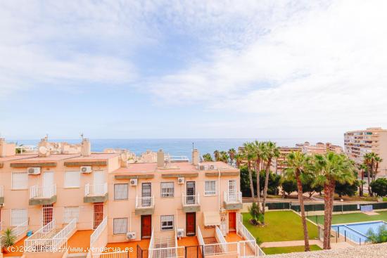 SE ALQUILA POR TEMPORADA APARTAMENTO CON VISTAS AL MAR DE 2 DORMITORIOS 2 BAÑOS EN TORREVIEJA - ALI