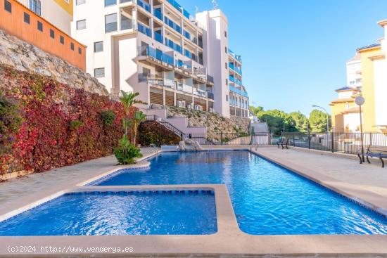 APARTAMENTO DE 2 DORMITORIOS 1 BAÑO EN ORIHUELA COSTA ( CAMPOAMOR) - ALICANTE