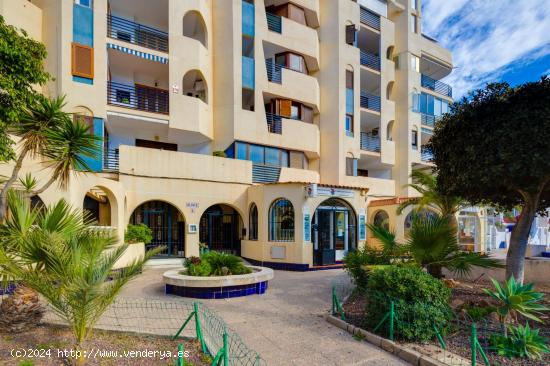 APARTAMENTOS  DE 2 DORMITORIOS 1 BAÑO, EN MAR AZUL (TORREVIEJA) - ALICANTE