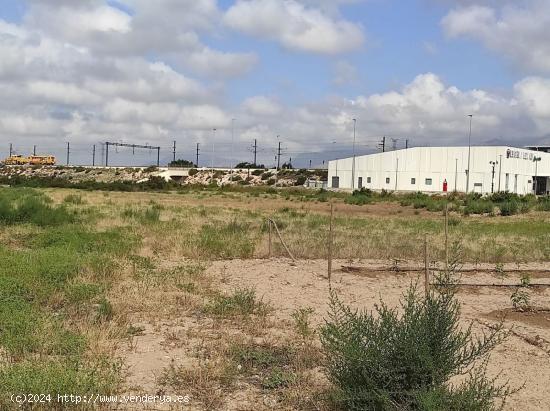 Terreno en Matola - ALICANTE