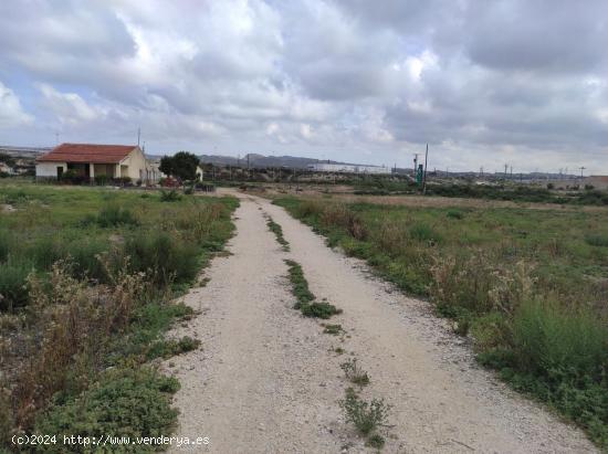 Terreno en Matola - ALICANTE