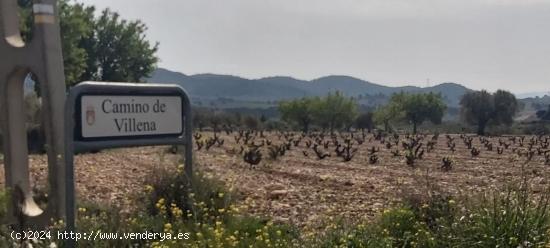 Finca rústica en Salinas - ALICANTE