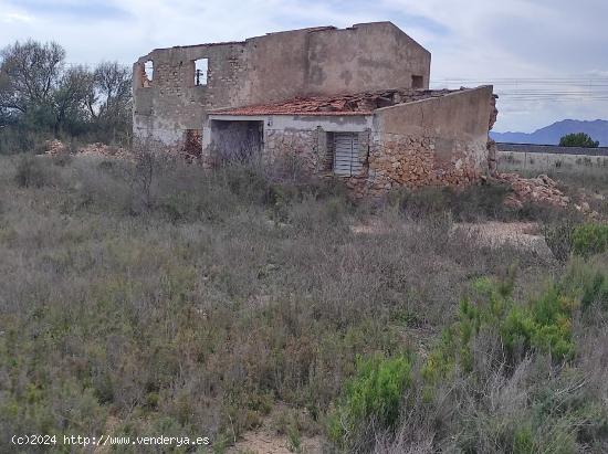 Finca en Crevillente - ALICANTE