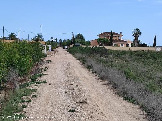 Finca en Crevillente - ALICANTE