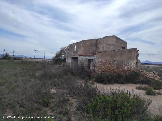 Finca en Crevillente - ALICANTE