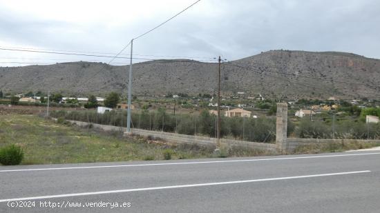 Parcela Rustica en Hondón de las Nieves (Alicante) - ALICANTE