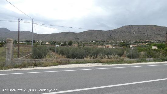 Parcela Rustica en Hondón de las Nieves (Alicante) - ALICANTE