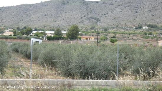 Parcela Rustica en Hondón de las Nieves (Alicante) - ALICANTE