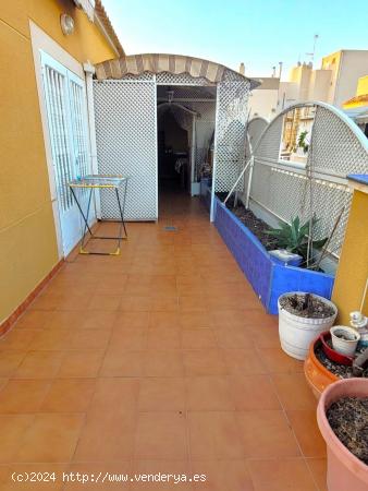 Se Vende en Torrevieja - ALICANTE