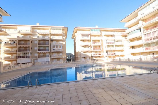 Apartamento en venta en Torrevieja (Alicante)