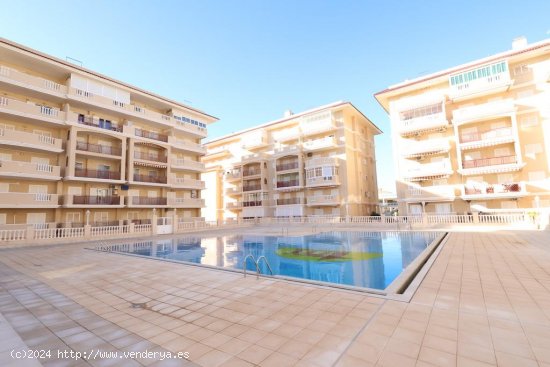 Apartamento en venta en Torrevieja (Alicante)