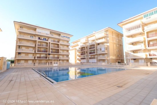 Apartamento en venta en Torrevieja (Alicante)