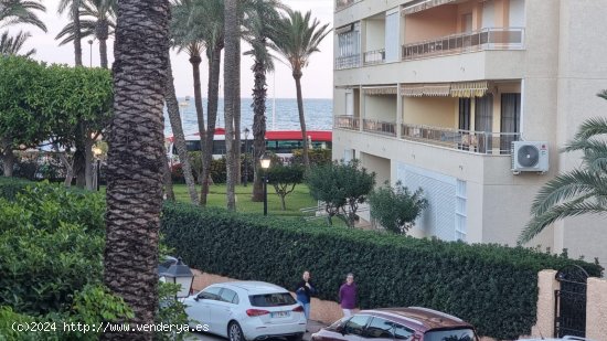 Apartamento en venta en Torrevieja (Alicante)