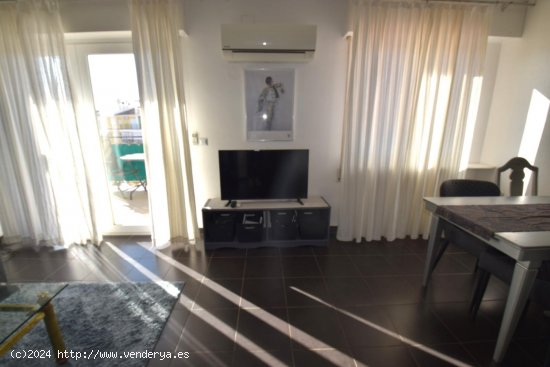 Apartamento en alquiler en Torrevieja (Alicante)