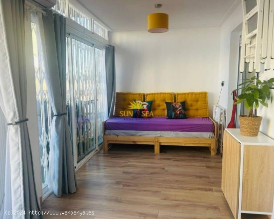 Apartamento en alquiler en Torrevieja (Alicante)