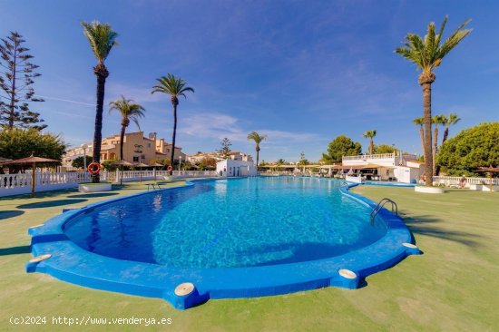 Villa en venta en Torrevieja (Alicante)