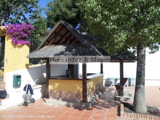 Apartamento en alquiler en Torremolinos (Málaga)