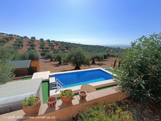 Finca en venta en Íllora (Granada)