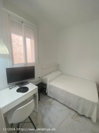  Estudio en alquiler en Granada (Granada) 