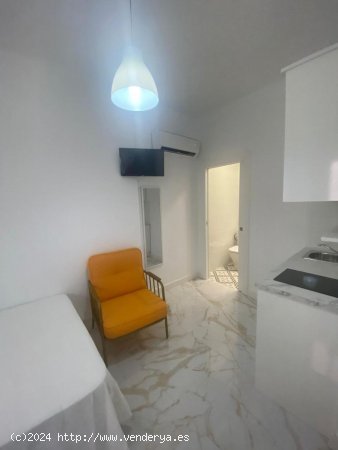 Estudio en alquiler en Granada (Granada)