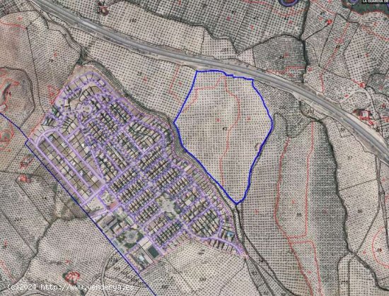  SE VENDE OLIVAR JUNTO A LA AUTOVIA. - Guardia de Jaén (La) 