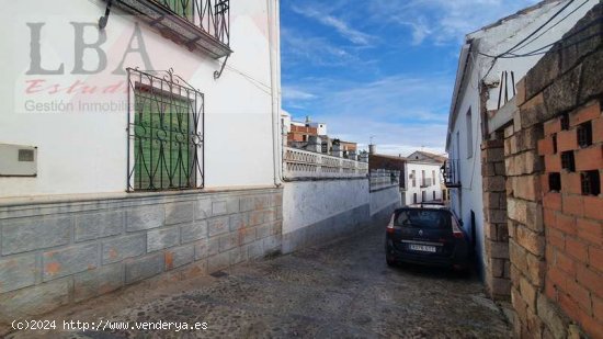 GRAN VIVIENDA SEÑORIAL CON GRANDES JARDINES EN EL CENTRO - Baños de la Encina