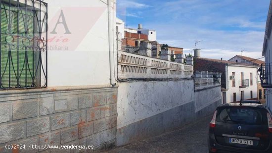 GRAN VIVIENDA SEÑORIAL CON GRANDES JARDINES EN EL CENTRO - Baños de la Encina