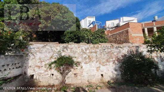 GRAN VIVIENDA SEÑORIAL CON GRANDES JARDINES EN EL CENTRO - Baños de la Encina