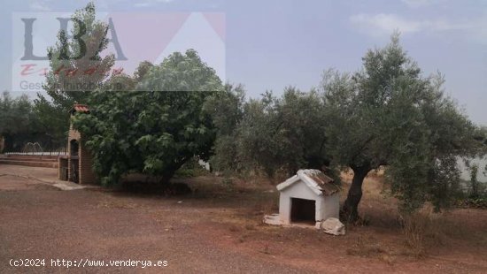 CHALET CON PISCINA Y OLIVAS - Bailén