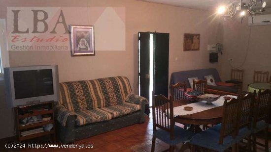 CHALET CON PISCINA Y OLIVAS - Bailén