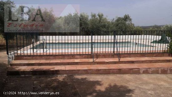 CHALET CON PISCINA Y OLIVAS - Bailén