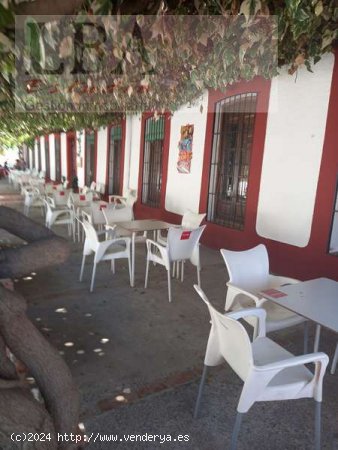 Restaurante en el Centenillo. - Baños de la Encina